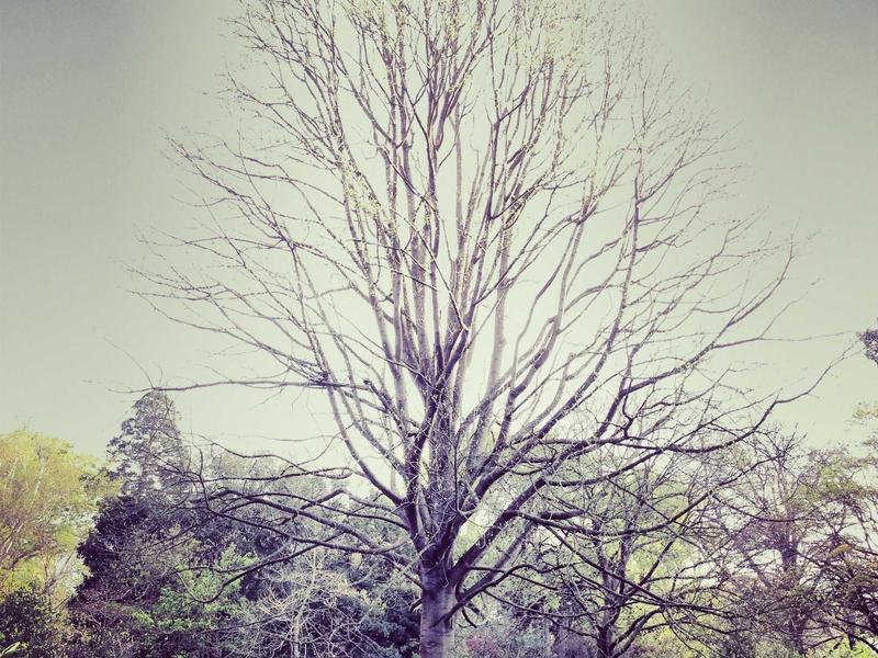 Twitter全套教程<br>注册/养号/矩阵/引流/解封一站式